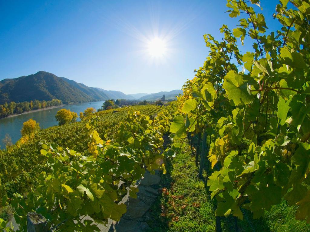 Gartenhotel & Weingut Pfeffel Dürnstein Eksteriør billede