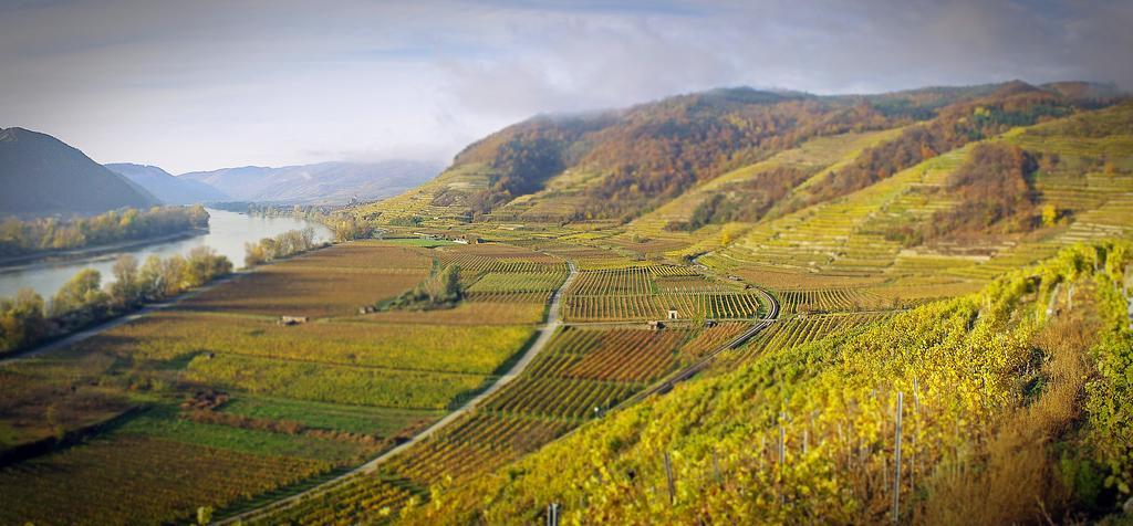 Gartenhotel & Weingut Pfeffel Dürnstein Eksteriør billede