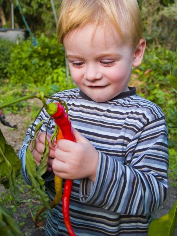 Gartenhotel & Weingut Pfeffel Dürnstein Eksteriør billede